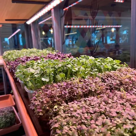 Mountain Luis Hotel apartamentowy Kaprun