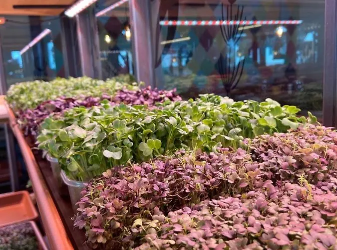 Mountain Luis アパートホテル カプルーン